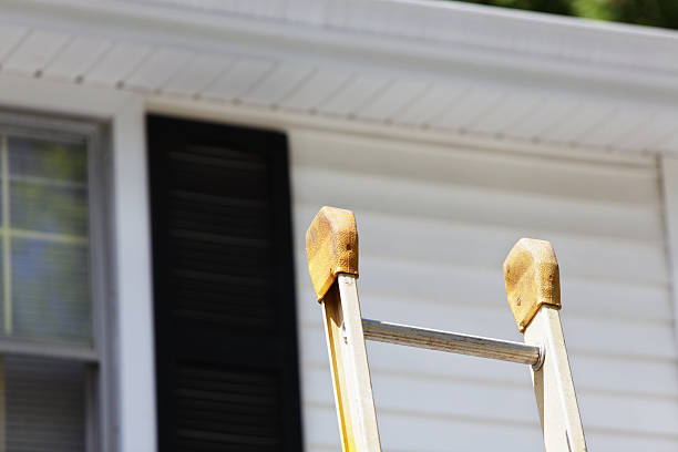 Best Stone Veneer Siding  in Bradfordville, FL